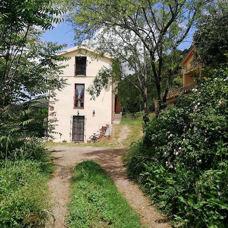 Stellaria Casa Vacanze In Montagna Panorama Stupendo Sardegna Seulo ภายนอก รูปภาพ
