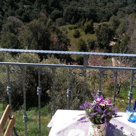 Stellaria Casa Vacanze In Montagna Panorama Stupendo Sardegna Seulo ภายนอก รูปภาพ